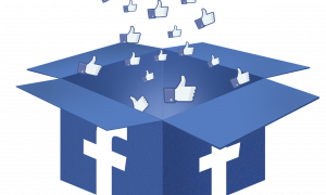 Facebook Box